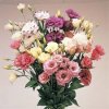 images(11).jpg