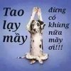 IMG_45035738943474.jpeg