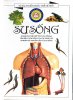 sự sống.jpg