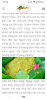 Screenshot_20210326-123408.png