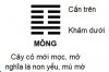 KD_Que4-KHON.jpg