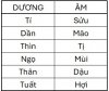 TuVi-DinhAmDuongTheoChi.jpg