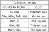 TuVi-Cuc_DinhNham.jpg