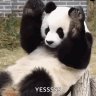 Tập Đoàn Bơ Sữa